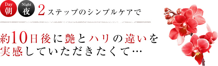 朝 夜 2ステップのシンプルケアで 約10日後に艶とハリの違いを実感していただきたくて…