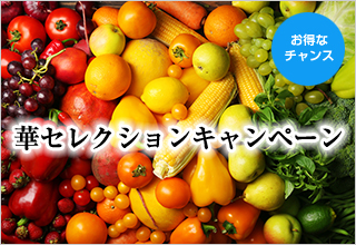 腸活キャンペーン