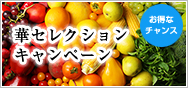 腸活キャンペーン
