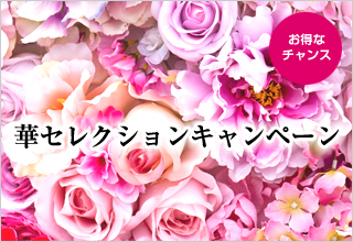 美活キャンペーン