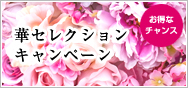 オーラルビューティーキャンペーン