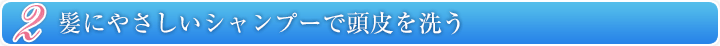 2 髪にやさしいシャンプーで頭皮を洗う