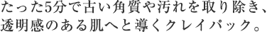 たった5分で古い角質や汚れを取り除き、透明感のある肌へと導くクレイパック。