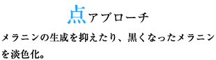 点アプローチメラニンの生成を抑えたり、黒くなったメラニンを淡色化。