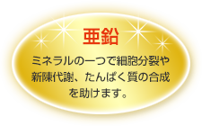 亜鉛／ミネラルの一つで細胞分裂や新陳代謝、たんぱく質の合成を助けます。