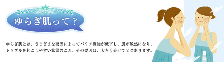 ゆらぎ肌って？ゆらぎ肌とは、さまざまな要因によってバリア機能が低下し、肌が敏感になり、トラブルを起こしやすい状態のこと。その要因は、大きく分けて２つあります。