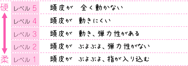 硬柔 レベル 5　頭皮が　全く動かない レベル 4　頭皮が　動きにくい レベル 3　頭皮が　動き、弾力性がある レベル 2　頭皮が　ぶよぶよ、弾力性がない レベル 1　頭皮が　ぶよぶよ、指が入り込む