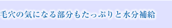 毛穴の気になる部分もたっぷりと水分補給