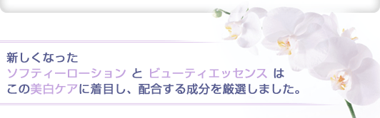 新しくなったソフティーローション と ビューティエッセンス はこの美白ケアに着目し、配合する成分を厳選しました。