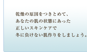 乾燥の原因をつきとめて、あなたの肌の状態にあった正しいスキンケアで冬に負けない肌作りをしましょう。