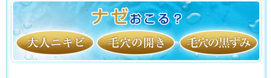 ナゼおこる？大人ニキビ・毛穴の開き・毛穴の黒ずみ