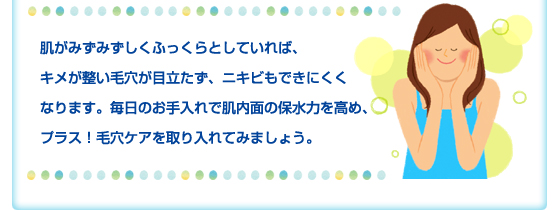 肌がみずみずしくふっくらとしていれば、キメが整い毛穴が目立たず、ニキビもできにくくなります。毎日のお手入れで肌内面の保水力を高め、プラス！毛穴ケアを取り入れてみましょう。