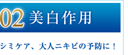 02：美白作用／シミケア、大人ニキビの予防に！