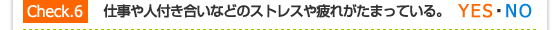 Check.6／仕事や人付き合いなどのストレスや疲れがたまっている。（YES・NO）