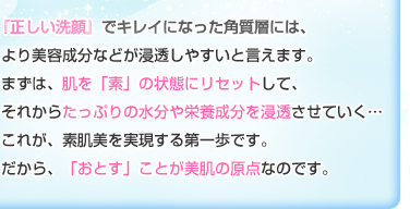 『正しい洗顔』でキレイになった角質層には、より美容成分などが浸透しやすいと言えます。まずは、肌を「素」の状態にリセットして、それからたっぷりの水分や栄養成分を浸透させていく･･･これが、素肌美を実現する第一歩です。だから、「おとす」ことが美肌の原点なのです。