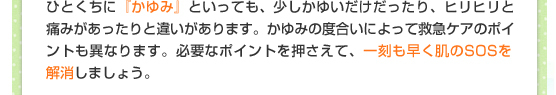 ひとくちに『かゆみ』といっても、少しかゆいだけだったり、ヒリヒリと痛みがあったりと違いがあります。かゆみの度合いによって救急ケアのポイントも異なります。必要なポイントを押さえて、一刻も早く肌のSOSを解消しましょう。