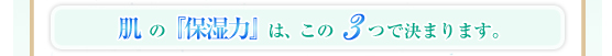 肌の『保湿力』は、この3つで決まります。