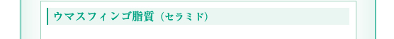 ウマスフィンゴ脂質（セラミド）