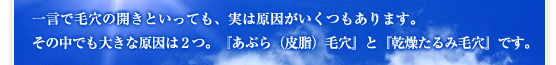 一言で毛穴の開きといっても、実は原因がいくつもあります。その中でも大きな原因は２つ。『あぶら（皮脂）毛穴』と『乾燥たるみ毛穴』です。