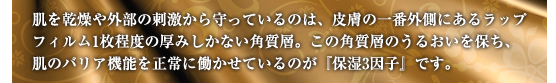 肌を乾燥や外部の刺激から守っているのは、皮膚の一番外側にあるラップフィルム1枚程度の厚みしかない角質層。この角質層のうるおいを保ち、肌のバリア機能を正常に働かせているのが『保湿3因子』です。