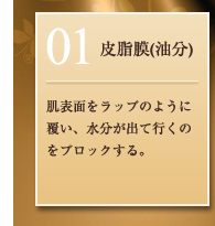 01：皮脂膜(油分)／肌表面をラップのように覆い、水分が出て行くのをブロックする。