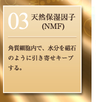 03：天然保湿因子(NMF)／角質細胞内で、水分を磁石のように引き寄せキープする。