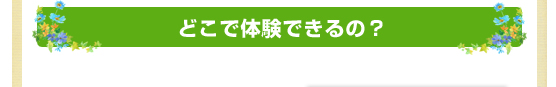 どこで体験できるの？