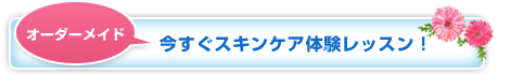 オーダーメイド：今すぐスキンケア体験レッスン！