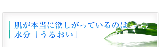 肌が本当に欲しがっているのは水分「うるおい」