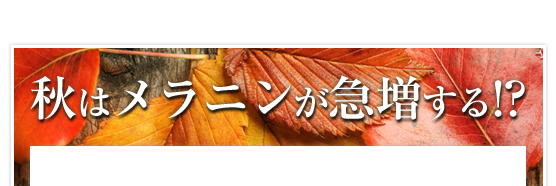 秋はメラニンが急増する！？