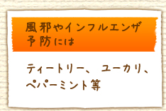 風邪やインフルエンザ予防には：ティートリー、ユーカリ、ペパーミント等