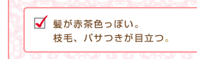 髪が赤茶色っぽい。枝毛、パサつきが目立つ。