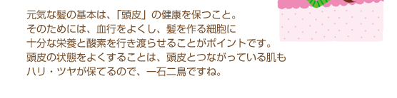 元気な髪の基本は、「頭皮」の健康を保つこと。そのためには、血行をよくし、髪を作る細胞に十分な栄養と酸素を行き渡らせることがポイントです。頭皮の状態をよくすることは、頭皮とつながっている肌もハリ・ツヤが保てるので、一石二鳥ですね。