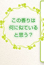 この香りは何に似ていると思う？