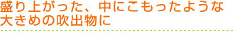 盛り上がった、中にこもったような大きめの吹出物に