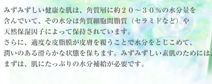 みずみずしい健康な肌は、角質層に約２０～３０％の水分量を含んでいて、その水分は角質細胞間脂質（セラミドなど）や天然保湿因子によって保持されています。さらに、適度な皮脂膜が皮膚を覆うことで水分をとじこめて、潤いのある滑らかな状態を保ちます。みずみずしい素肌のためには、まずは、肌にたっぷりの水分補給が必要です。