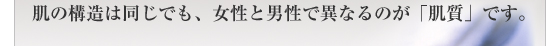 肌の構造は同じでも、女性と男性で異なるのが「肌質」です。