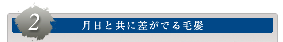 ２．月日と共に差がでる毛髪