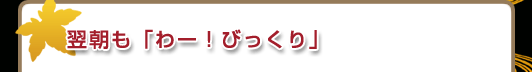 翌朝も「わー！びっくり」