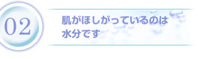 2.肌がほしがっているのは水分です