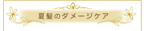 夏髪のダメージケア