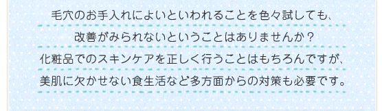 毛穴のお手入れによいといわれることを色々試しても、改善がみられないということはありませんか？化粧品でのスキンケアを正しく行うことはもちろんですが、美肌に欠かせない食生活など多方面からの対策も必要です 。