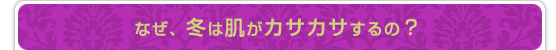 なぜ、冬は肌がカサカサするの？