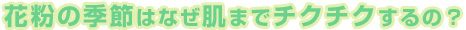 花粉の季節はなぜ肌までチクチクするの？