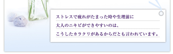 ストレスで疲れがたまった時や生理前に大人のニキビができやすいのは、こうしたカラクリがあるからだとも言われています。