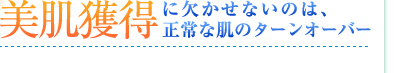 美肌獲得に欠かせないのは、正常な肌のターンオーバー