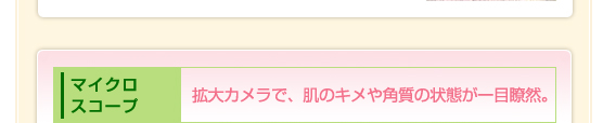 マイクロスコープ　拡大カメラで、肌のキメや角質の状態が一目瞭然。