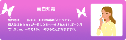 面白知識：髪の毛は、一日に0.3～0.5ｍｍ伸びるそうです。個人差はありますが一日に0.5ｍｍ伸びるとすれば一ケ月で1.5ｃｍ、一年で18ｃｍ伸びることになりますね。