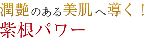 潤艶のある美肌へ導く！紫根パワー