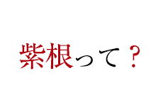 紫根って？